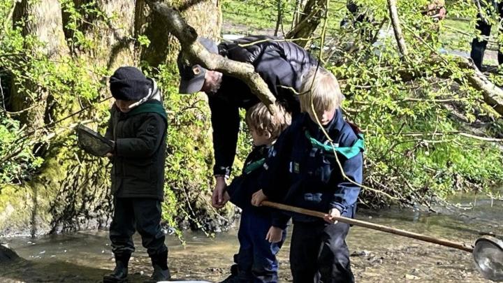 Spejdere leder efter dyr i vandløb